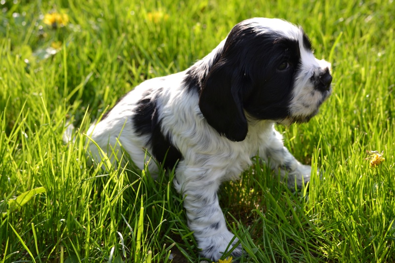 Vrh H a CH 27-Hanny.JPG